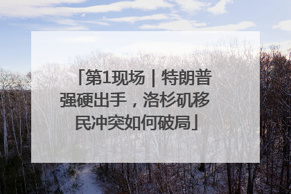 第1现场｜特朗普强硬出手，洛杉矶移民冲突如何破局